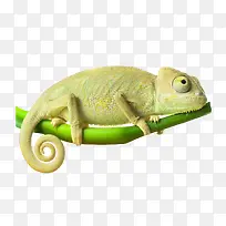 ��ɫ��ɫ��-������