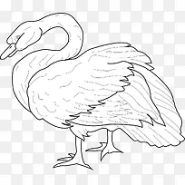 矢量卡通鹅动物素材图-空若网 矢量卡通鹅动物素材图-空若网