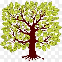 ��ͨ�ֻ�����С��-������