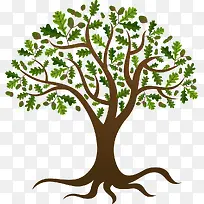 ��ͨ�ֻ�����С��-������