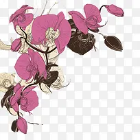 牵牛花插画-空若网 牵牛花插画-空若网