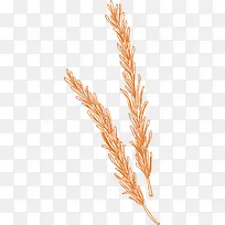 麦穗火锅食物香料-空若网 麦穗火锅食物香料-空若网