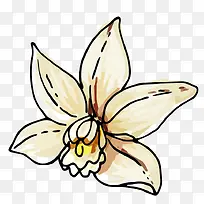 卡通手绘喇叭花-空若网 卡通手绘喇叭花-空若网