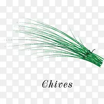 һ���̲�ʸ��-������