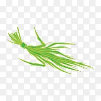 矢量小草-空若网 矢量小草-空若网