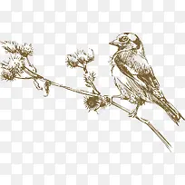 ��֦�ϵ���ȸʸ��-������