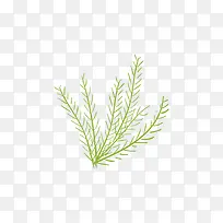 ��֦С�ݼ�ʻ�-������