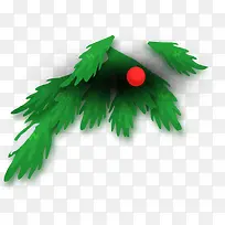 ��ɫ����֦��ɫ��ʵ-������