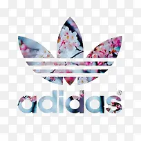 ���ϴ�˹-������