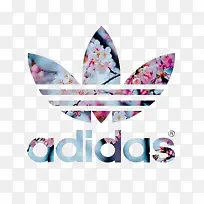 阿迪达斯-空若网 阿迪达斯-空若网