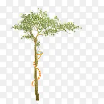 ¿¨Í¨ÇåÐÂСÊ÷-¿ÕÈôÍø ¿¨Í¨ÇåÐÂСÊ÷-¿ÕÈôÍø