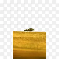 秋天草原的几棵树-空若网 秋天草原的几棵树-空若网