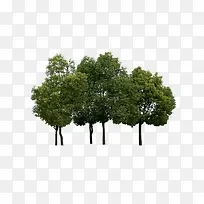 ����Զ����-������