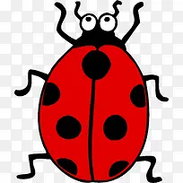 七星瓢虫-空若网 七星瓢虫-空若网