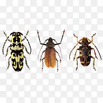 À¥³æ-¿ÕÈôÍø À¥³æ-¿ÕÈôÍø