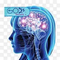 神经系统神经中枢脑神经-空若网 神经系统神经中枢脑神经-空若网