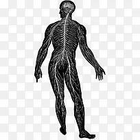 �ڰ�������ϵͳʾ��ͼ-������