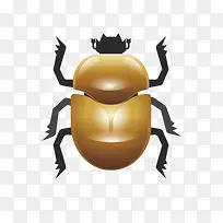 甲壳虫矢量素材图-空若网 甲壳虫矢量素材图-空若网
