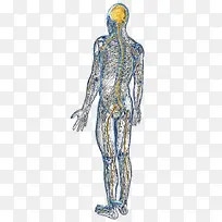 ����ṹ��ϵͳʾ��ͼ-������