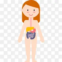 女子6大人体系统矢量图-空若网 女子6大人体系统矢量图-空若网