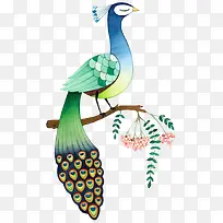 孔雀-空若网 孔雀-空若网