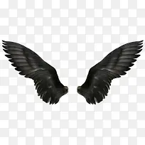 黑色的翅膀-空若网 黑色的翅膀-空若网