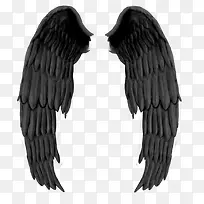 ��ɫ���-������