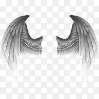 恶魔的翅膀-空若网 恶魔的翅膀-空若网