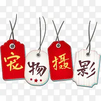 宠物摄影-空若网 宠物摄影-空若网