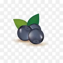 矢量蓝莓水果-空若网 矢量蓝莓水果-空若网