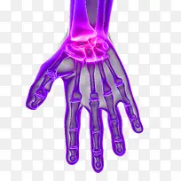 手指关节-空若网 手指关节-空若网