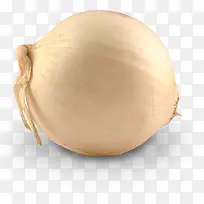 食物圆葱-空若网 食物圆葱-空若网