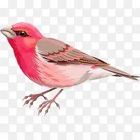 �ֻ�ˮ��С��-������