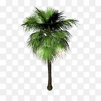 绿色的树-空若网 绿色的树-空若网