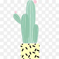 可爱卡通仙人掌盆栽-空若网 可爱卡通仙人掌盆栽-空若网