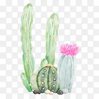 可爱文艺仙人掌盆栽装饰海报设计-空若网 可爱文艺仙人掌盆栽装饰海报设计-空若网