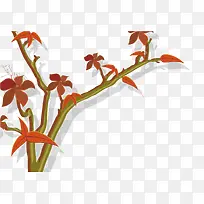 ³¤ºìÉ«µÄÊ÷Ò¶µÄÊ÷Ö¦-¿ÕÈôÍø ³¤ºìÉ«µÄÊ÷Ò¶µÄÊ÷Ö¦-¿ÕÈôÍø