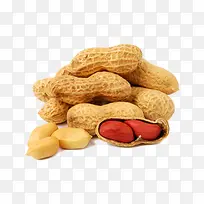 花生-空若网 花生-空若网