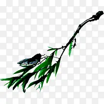 绿色夏日蝉鸣昆虫-空若网 绿色夏日蝉鸣昆虫-空若网