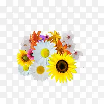 ��ɫ����-������