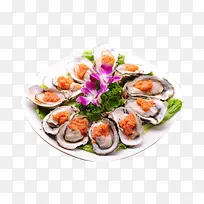 һ�������ͼƬ�ز�-������