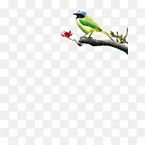 树枝上的鸟-空若网 树枝上的鸟-空若网