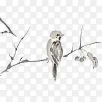 小鸟在树枝上免抠素材-空若网 小鸟在树枝上免抠素材-空若网