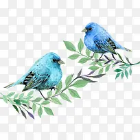 2ֻ��֦�ϵ���ɫ��ʸ���ز�-������