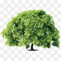 ��-������