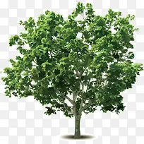 ʸ����-������