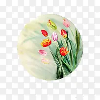 彩色郁金香-空若网 彩色郁金香-空若网