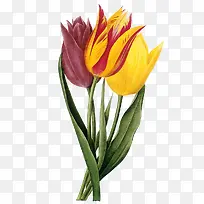 ��ͨ�ֻ��������ز�-������