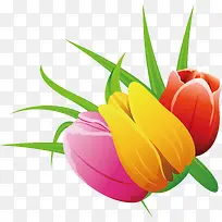 ��ɫ������-������