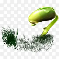 ��ѿ-������